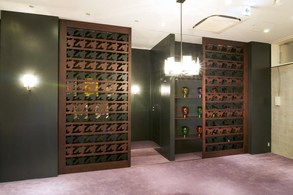 Sliding Door – Graphic Pattern Panel